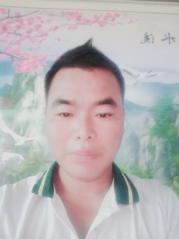 阳光男孩的第二张照片--河南上门女婿服务网